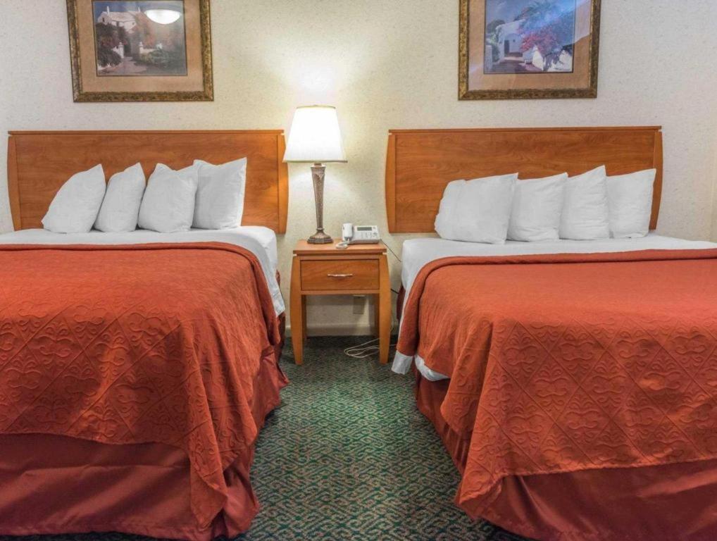 Quality Inn Royle Kittanning Εξωτερικό φωτογραφία